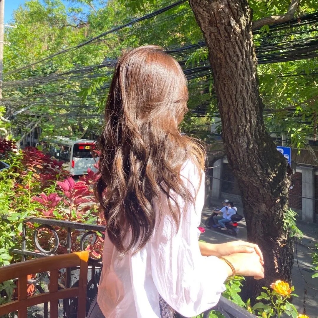 永远的行动家：亚伯拉罕·林肯旅退伍军人的故事